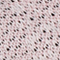 ROSE/ SCHWARZ