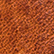 BRAUN