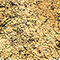 GOLD/ SCHWARZ