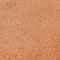 REEF SHELL