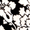 SCHWARZ/ CREME