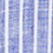 BLAU/ WEISS/ GESTREIFT