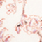 CREME/ ROSE