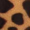 COGNAC/ BRAUN/ HELLBLAU