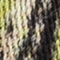 HELLBLAU/ HELLGRÜN