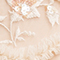 CREME/ ROSÈ