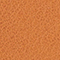 BRAUN