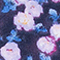 LILA/ ROSA BLAU
