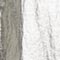 GRAU