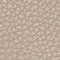 MOTTY GREY
