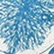 BLAU/ WEISS