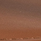 BRAUN