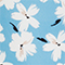 HELLBLAU/ CREME
