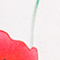 WEISS/ ROT