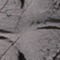 GRAU/ SCHWARZ