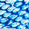 BLAU/ WEISS