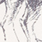 ECRU/ GRAU