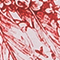 WEISS/ ROT