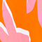 ORANGE/ ROSA