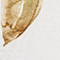 WEISS/ GELB/ GRÜN