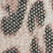 BRAUN/ SCHWARZ