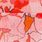 ROSÈ/ ORANGE/ ROT