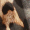 SCHWARZ/ BEIGE/ ECRU