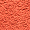 BRAUN