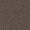 DUNKELTAUPE