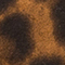 BRAUN