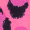 PINK/ SCHWARZ