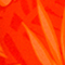ORANGE/ PINK/ BEIGE
