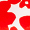 ROT/ WEISS