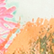 GRÜN/ ROSA/ BLAU