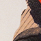 ORANGE/ BRAUN/ BLAU
