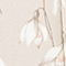 HELLGRAU/ WEISS