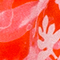 ROT/ ROSA