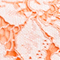 HELLORANGE/ WEISS