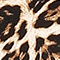 CAMEL/ SCHWARZ