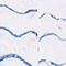 WEISS/ BLAU