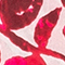 FUCHSIA/ WEISS