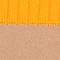 CAMEL/ ORANGE