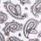 WEISS/ BEIGE