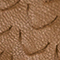 BRAUN