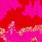 PINK/ ROT/ GOLD