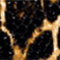CREME/ SCHWARZ/ HELLBRAUN