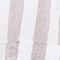 BEIGE/ WEISS