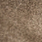 BRAUN