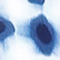 DUNKELBLAU/ HELLBLAU/ WEISS