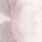 ROSÉ/ GRÜN